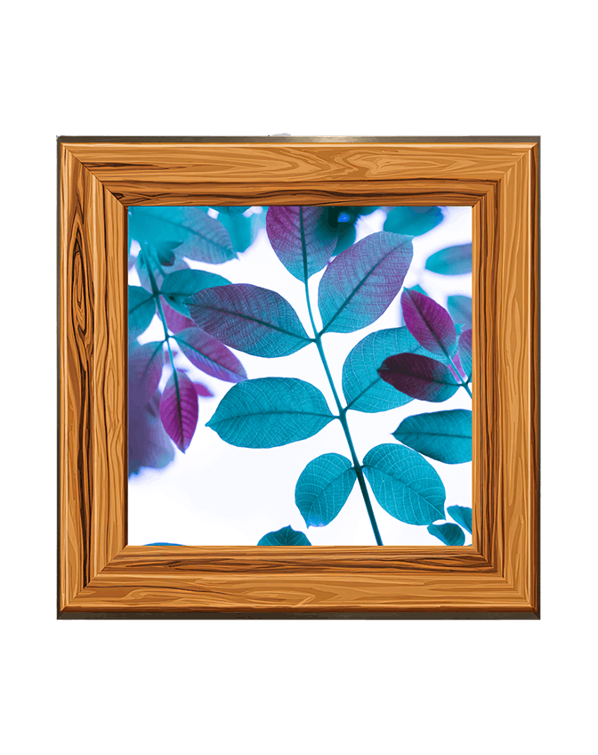 Lumivex Canopy image hover